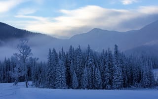 Картинка Канас, зима, снег, Китай, горы, туман, деревья