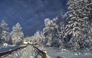 Картинка Шарапов Андрей, пейзаж, ограждение, зима, лес, деревья, природа, дорожка, снег, беседки