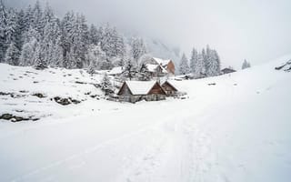 Картинка снег, композиция, дома, деревья