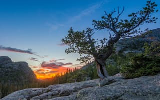 Картинка Rocky Mountain, пейзаж, закат, дерево, скалы, Colorado, горы, National Park