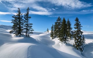 Картинка Австрия, зима, деревья, природа, снег, пейзаж, небо, сугробы, ели, облака