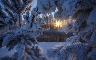 Картинка Алтай, деревья, солнце, природа, мороз, зима, пейзаж, река, лучи, снег, лес, ели