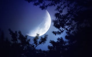 Картинка Луна, темный, ночь, бук