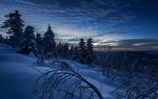 Картинка зима, деревья, горы, небо, ели, рассвет, пейзаж, Daniel Vogelbacher, звёзды, снег, природа, утро, ветки, Швейцария