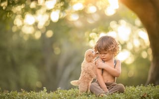 Картинка Irina Nedyalkova, ребёнок, малыш, штанишки, друзья, лето, мальчик, природа, дерево, боке, кудри, трава, животное, щенок, собака