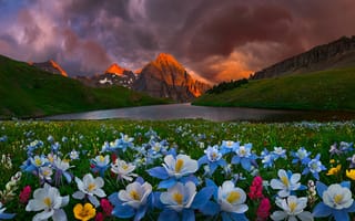 Картинка Bsam, луга, холмы, озеро, тучи, природа, пейзаж, закат, Колорадо, цветы, горы