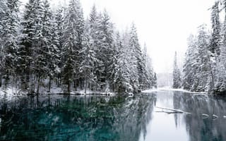Обои Зима, Природа, Снег
