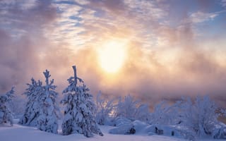 Картинка Печора, иней, зима, мороз, река, утро, пар, снег, природа, солнце, деревья
