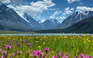 Картинка природа, луга, цветы, озеро, пейзаж, снега, горы, трава, облака
