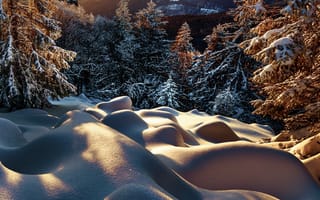 Картинка Robert Didierjean, снег, зима, вечер, деревья, природа, сугробы, лес, пейзаж, ели