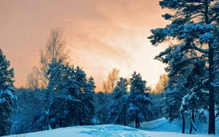 Картинка Зима, Природа, Снег