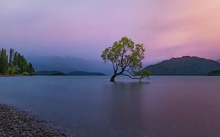 Картинка Derek Zhang, озеро, деревья, дерево, галька, утро, камни, горы, рассвет, берег, природа, пейзаж
