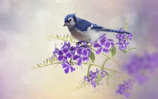 Картинка 3D, цветы, птица, ветки, digital art, сойка, птицы мира