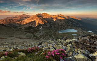 Картинка трава, камни, цветы, закат, Румыния, озёра, Lazar Ioan Ovidiu, горы