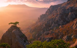 Картинка деревья, скалы, сосны, Svetlov Sergey, пейзаж, природа, закат, горы