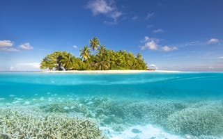 Картинка Тропики, остров, под водой, отдых