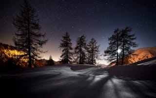 Картинка Зима, ночь, Деревьями, снег, пейзаж