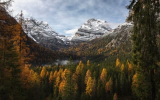 Картинка природа, осень, леса, долина, снег, туман, пейзаж, горы