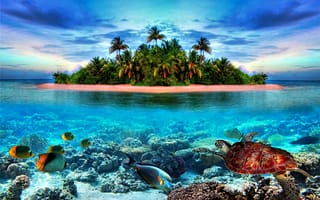 Картинка Beautiful, island, tropical