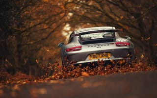Обои Автомобиль, лес, осень, Porsche 911 GT3