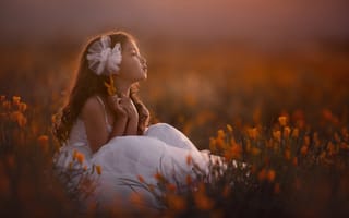 Картинка ребёнок, Lisa Holloway, девочка, природа, вечер, поле, цветы, платье