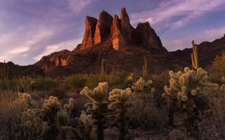 Картинка природа пейзаж США, Аризона