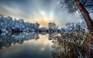 Обои зима, деревья, иней, озеро, природа, Robert Didierjean, трава