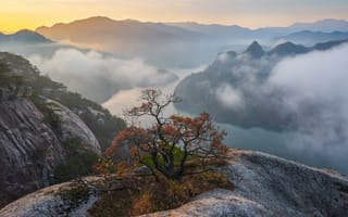 Картинка осень, облака, пейзаж, туман, дерево, Южная Корея, рассвет, река, скалы, горы, утро, заповедник, кусты, природа, сосна