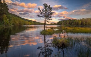 Картинка природа, отражение, лес, холм, закат, деревья, травы, Ole Henrik Skjelstad, облака, пейзаж, озеро, Норвегия, небо