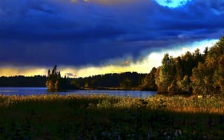Картинка Канада, травы, вечер, пейзаж, озеро, Квебек, природа, берега, сумерки, леса, закат