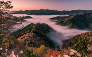 Картинка Япония, туман, префектура Сига, холмы, утро, деревья, дорога