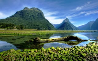Картинка пейзаж фотографии природы, мох, фьорд Милфорд Саунд, Новая Зеландия, национальный парк, горы