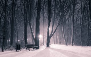 Картинка Зима, Природа, Парк, Деревья, Скамейка, Ночь, Снег