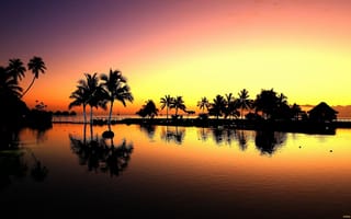 Картинка тропики, море, пальмы, закат