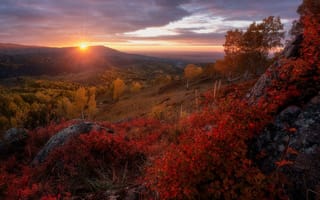 Картинка осень, солнце, Алтай, горы, природа, закат, камни, деревья, пейзаж, Павел Силиненко, лучи