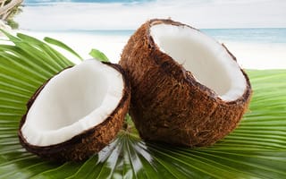Картинка тропики, кокос, орех, тропический, пальмы, кокосовый, пальма
