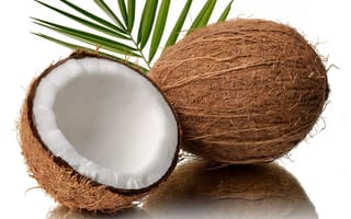 Картинка красота, пальмовый, тропический, кокосовый, лист, орех, кокос