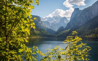 Картинка Австрия, Gosausee, Пейзаж, Ветки, Природа, Dachstein, Скала, Озеро, Gosau, Горы