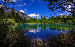 Картинка Швейцария, озеро, деревья, зелень