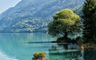 Картинка Италия, Trentino, dolomite, Природа, Деревья, Озеро, Горы, Alps