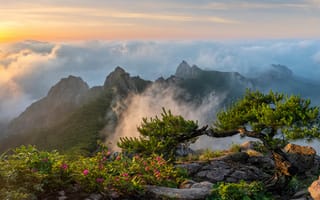 Картинка природа, горы, Корея, Волчулсан, закат, панорама, туман