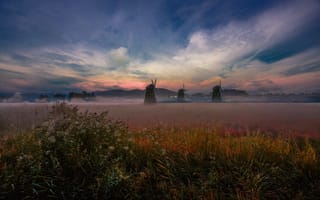 Картинка природа, туман, мельницы, травы, поле, вечер, закат