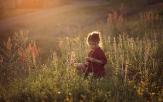 Картинка трава, дети, девочка, ребенок, полевые цветы, darya stepanova, поле, детство
