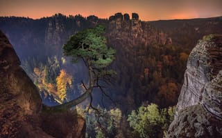 Картинка Германия, сосна, пейзаж, горы, закат, скалы, дерево, природа