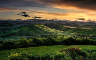 Картинка деревья, закат, Италия, Тоскана, поля, пейзаж, холмы, цветы, природа