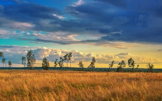 Картинка природа, облака, пейзаж, Украина, поле, небо, трава