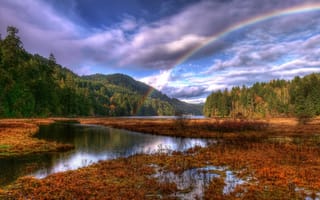 Картинка облака, радуга, лес, clouds, осень, природа, forest