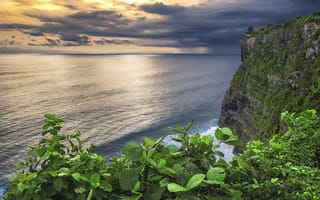 Картинка Бали, природа, океан, тучи, скала, листья, пейзаж, ветки, обрыв