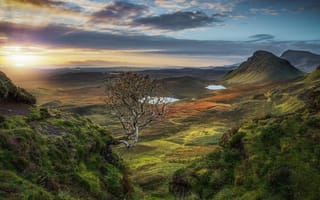 Картинка Шотландия, холмы, горы, пейзаж, утро, рассвет, солнце, дерево, озёра, природа