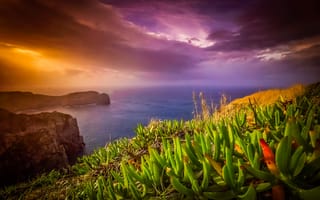 Картинка Азорские острова, тучи, растительность, океан, природа, берег, скалы, пейзаж